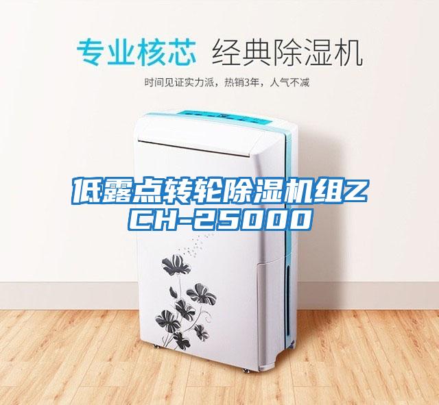 低露點轉輪除濕機組ZCH-25000