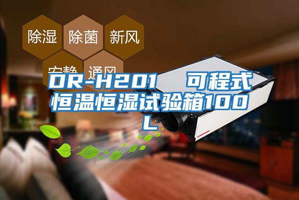 DR-H201 可程式恒溫恒濕試驗箱100L