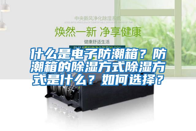 什么是電子防潮箱？防潮箱的除濕方式除濕方式是什么？如何選擇？