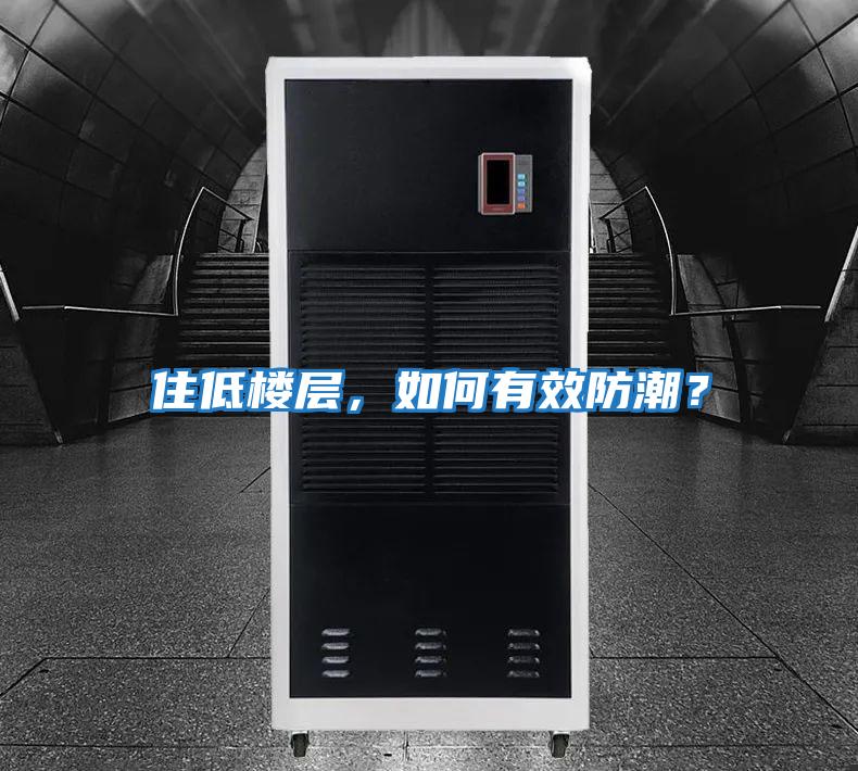 住低樓層，如何有效防潮？