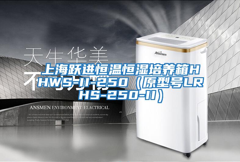 上海躍進恒溫恒濕培養箱HHWS-II-250（原型號LRHS-250-II）