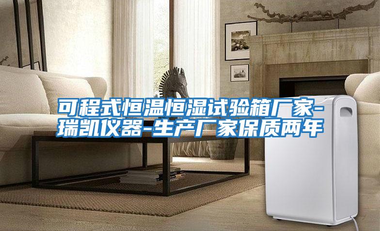 可程式恒溫恒濕試驗(yàn)箱廠(chǎng)家-瑞凱儀器-生產(chǎn)廠(chǎng)家保質(zhì)兩年