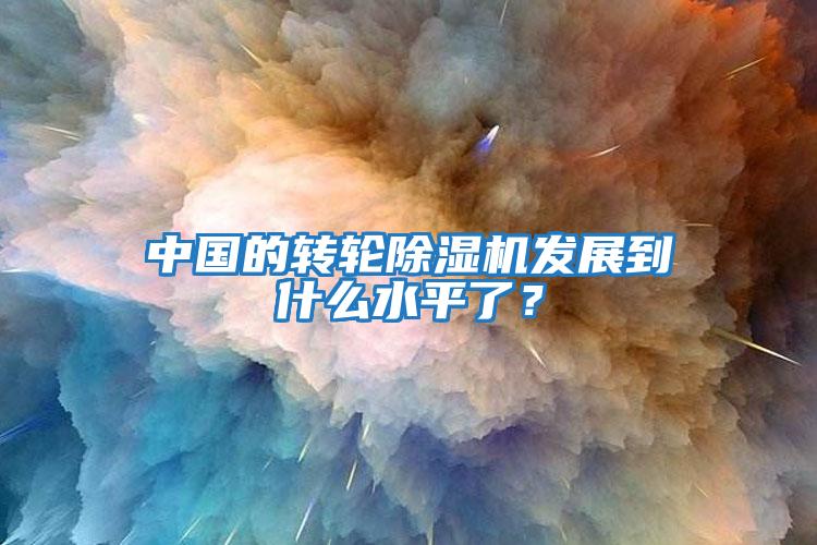 中國的轉(zhuǎn)輪除濕機(jī)發(fā)展到什么水平了？