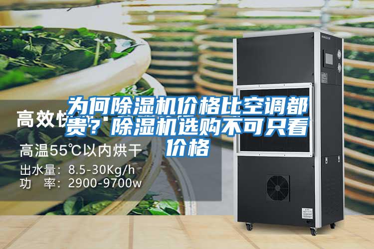 為何除濕機價格比空調都貴？除濕機選購不可只看價格