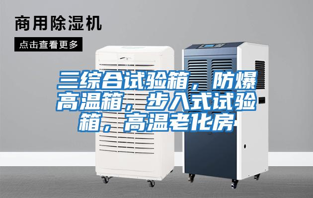 三綜合試驗箱,防爆高溫箱,步入式試驗箱,高溫老化房