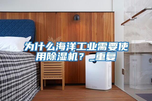 為什么海洋工業(yè)需要使用除濕機？_重復(fù)