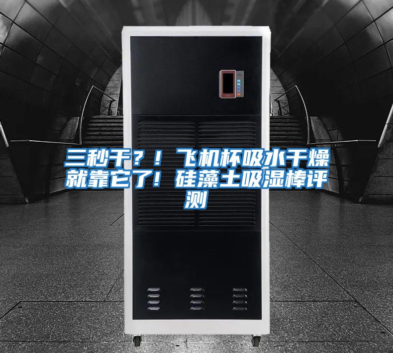 三秒干？! 飛機(jī)杯吸水干燥就靠它了! 硅藻土吸濕棒評(píng)測(cè)