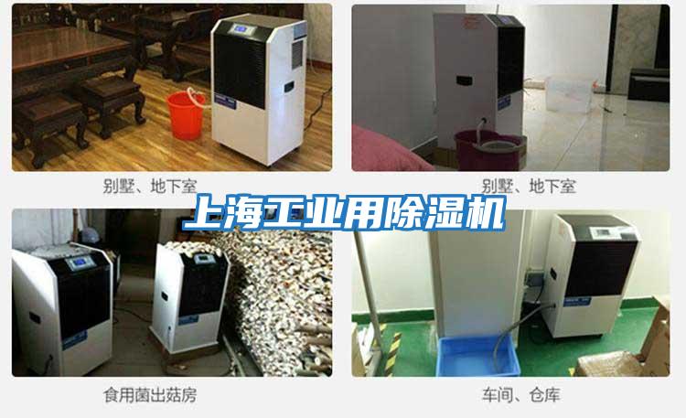 上海工業用除濕機