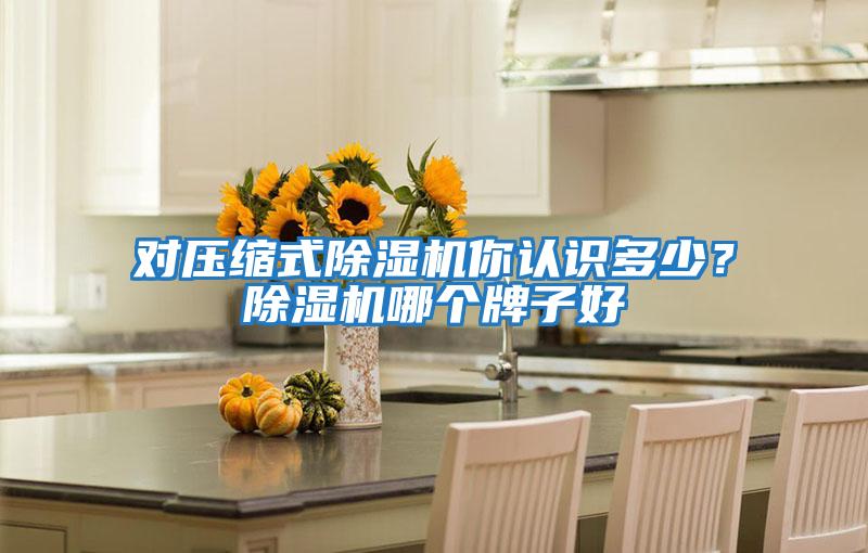 對壓縮式除濕機(jī)你認(rèn)識多少?除濕機(jī)哪個(gè)牌子好