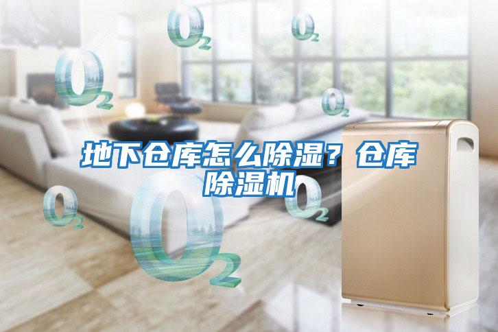 地下倉庫怎么除濕?倉庫除濕機(jī)