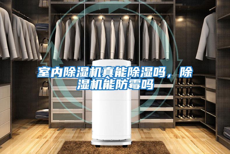 室內除濕機真能除濕嗎，除濕機能防霉嗎