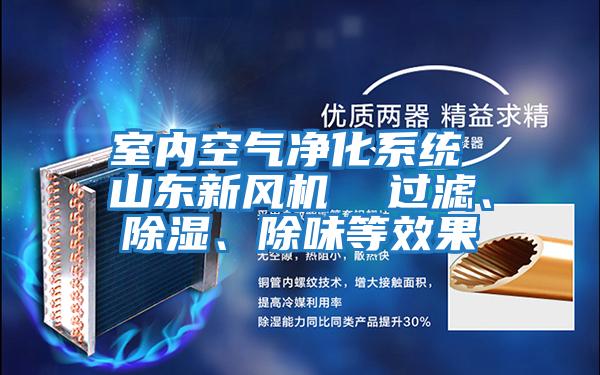 室內(nèi)空氣凈化系統(tǒng) 山東新風(fēng)機(jī)  過(guò)濾、除濕、除味等效果