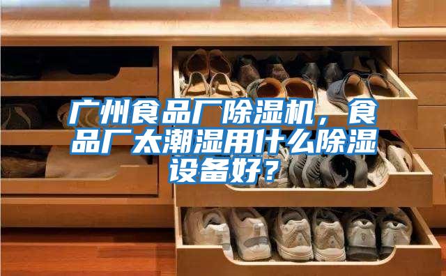 廣州食品廠除濕機，食品廠太潮濕用什么除濕設備好？