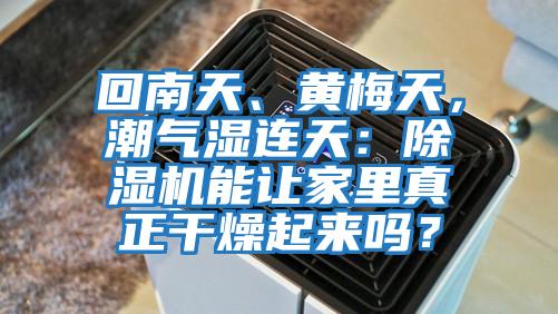 回南天、黃梅天,潮氣濕連天:除濕機能讓家里真正干燥起來嗎?