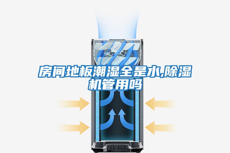 房間地板潮濕全是水,除濕機管用嗎