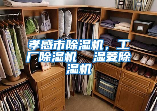 孝感市除濕機，工廠除濕機  濕菱除濕機