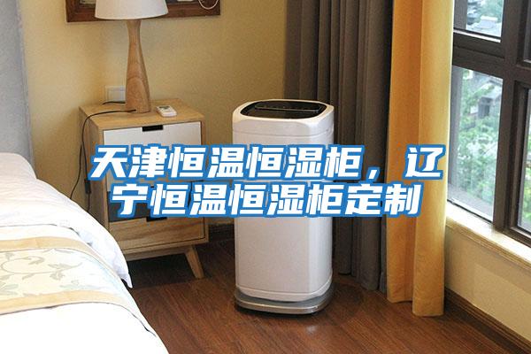 天津恒溫恒濕柜,遼寧恒溫恒濕柜定制