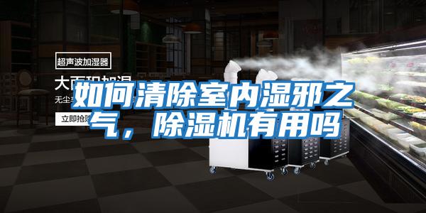 如何清除室內濕邪之氣,除濕機有用嗎