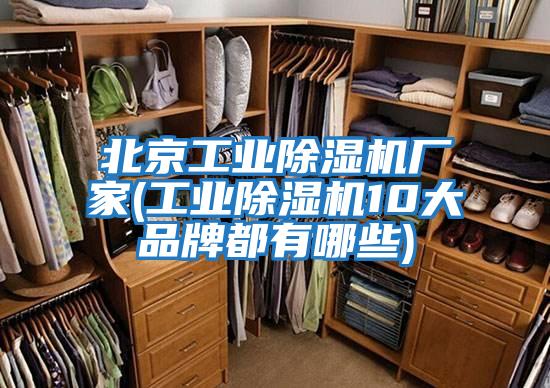 北京工業除濕機廠家(工業除濕機10大品牌都有哪些)