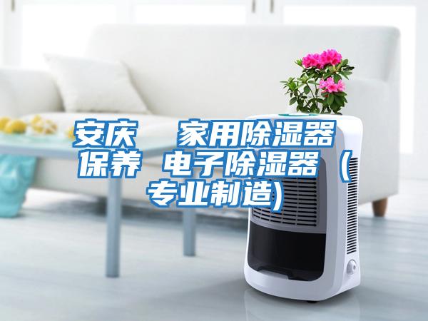 安慶 家用除濕器 保養(yǎng) 電子除濕器 (專業(yè)制造)