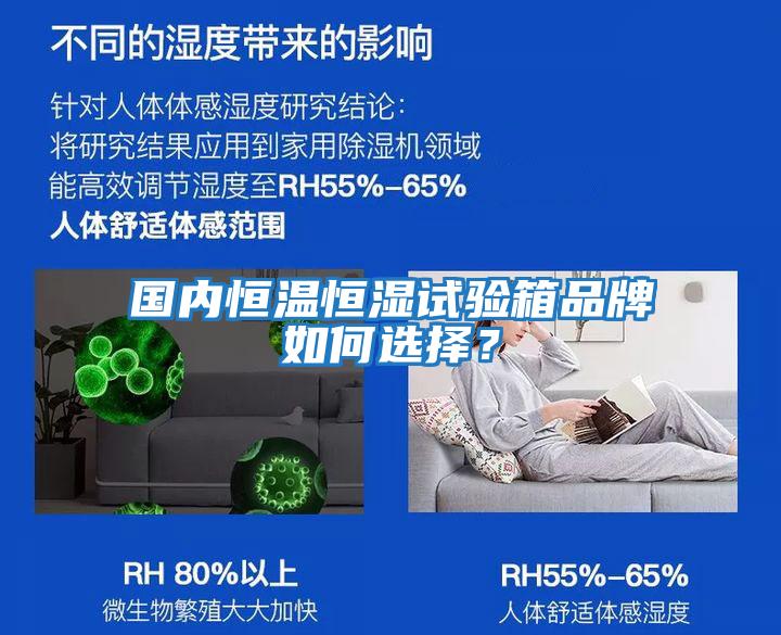國(guó)內(nèi)恒溫恒濕試驗(yàn)箱品牌如何選擇？