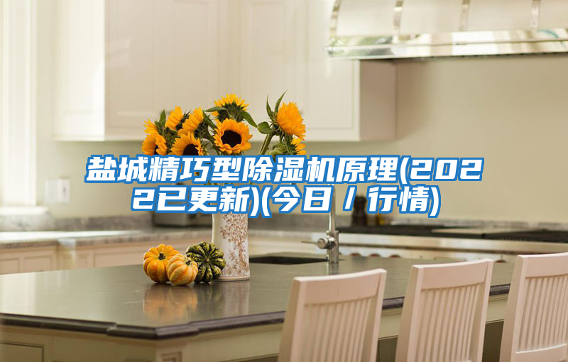 鹽城精巧型除濕機(jī)原理(2022已更新)(今日/行情)