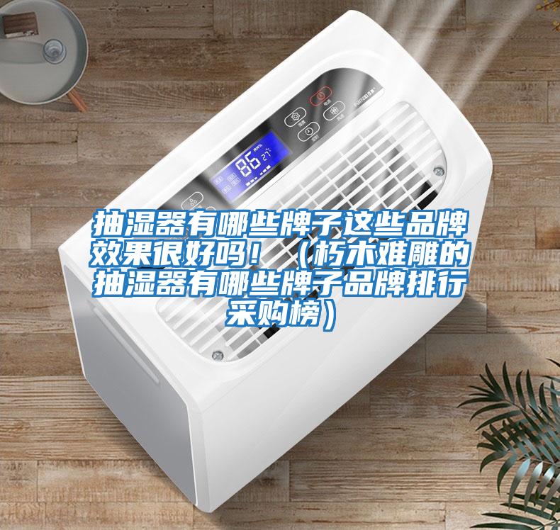 抽濕器有哪些牌子這些品牌效果很好嗎?。ㄐ嗄倦y雕的抽濕器有哪些牌子品牌排行采購榜）