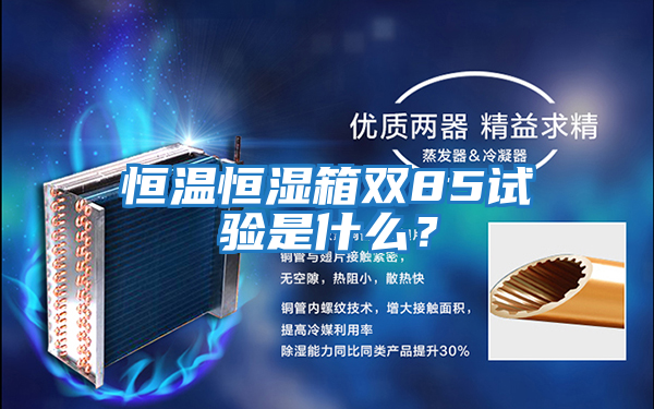 恒溫恒濕箱雙85試驗是什么?