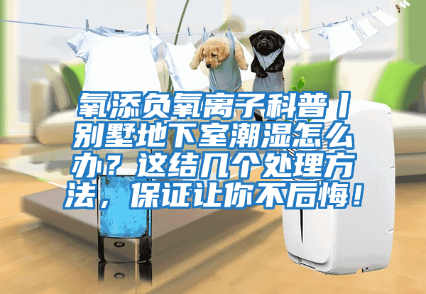 氧添負(fù)氧離子科普丨別墅地下室潮濕怎么辦？這結(jié)幾個(gè)處理方法，保證讓你不后悔！