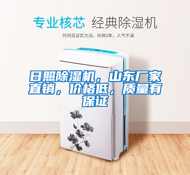 日照除濕機,山東廠家直銷,價格低,質量有保證