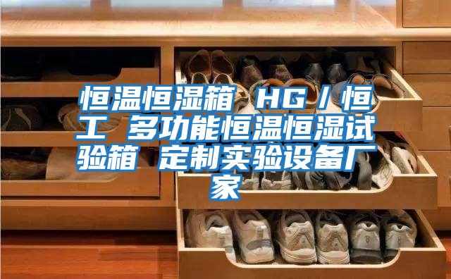 恒溫恒濕箱 HG/恒工 多功能恒溫恒濕試驗箱 定制實驗設備廠家