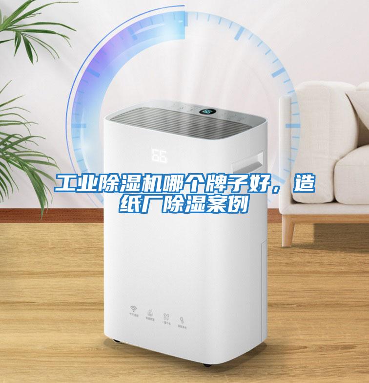 工業除濕機哪個牌子好,造紙廠除濕案例