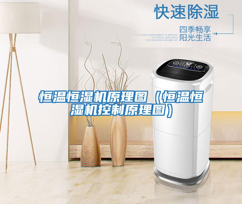 恒溫恒濕機原理圖(恒溫恒濕機控制原理圖)