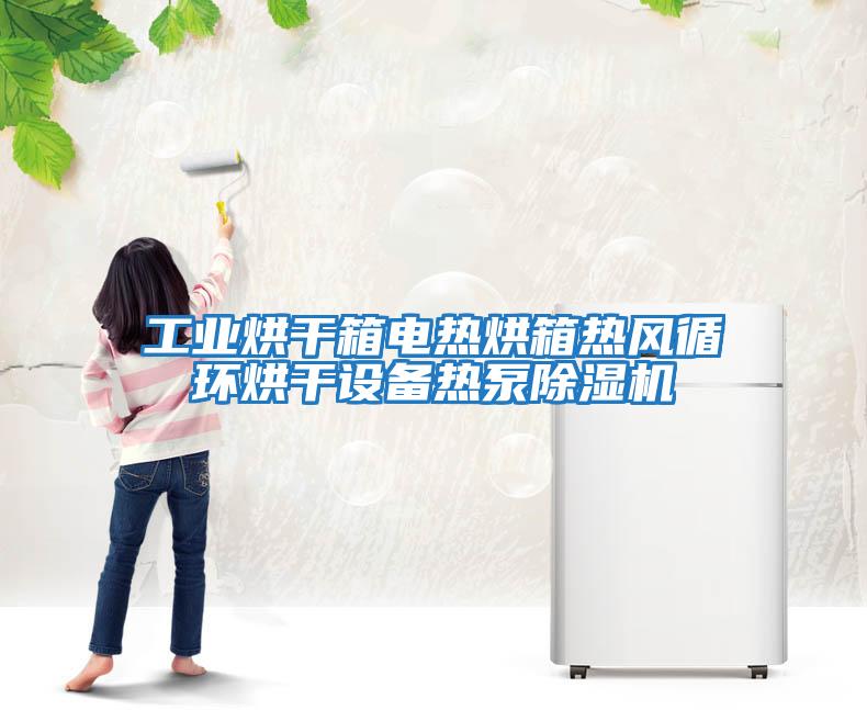 工業烘干箱電熱烘箱熱風循環烘干設備熱泵除濕機
