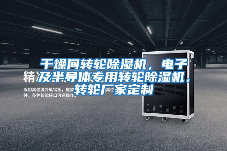 干燥間轉輪除濕機，電子及半導體專用轉輪除濕機，轉輪廠家定制