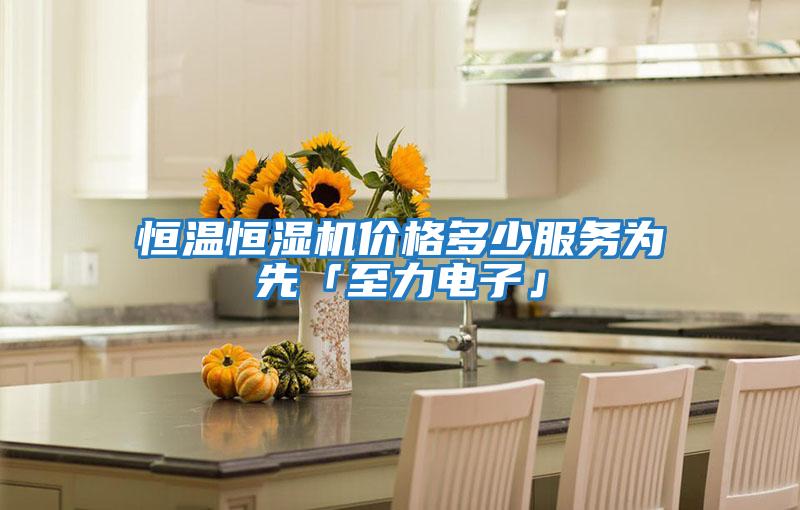 恒溫恒濕機(jī)價格多少服務(wù)為先「至力電子」