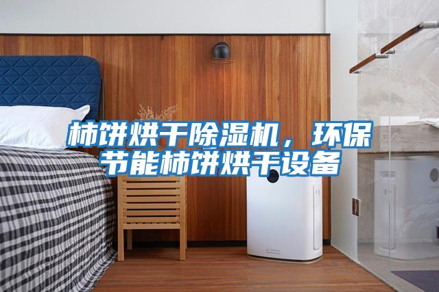 柿餅烘干除濕機,環保節能柿餅烘干設備