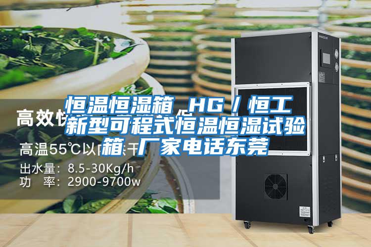 恒溫恒濕箱 HG/恒工 新型可程式恒溫恒濕試驗(yàn)箱 廠家電話東莞