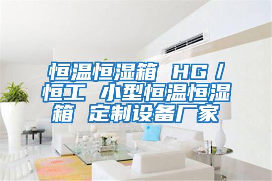 恒溫恒濕箱 HG/恒工 小型恒溫恒濕箱 定制設備廠家