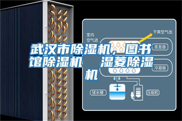 武漢市除濕機(jī),圖書(shū)館除濕機(jī) 濕菱除濕機(jī)