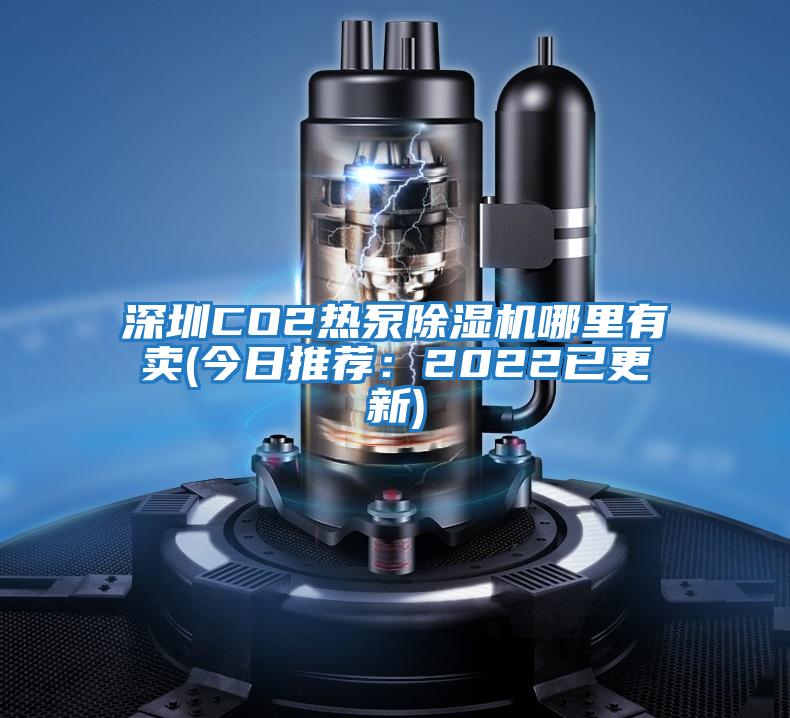 深圳CO2熱泵除濕機(jī)哪里有賣(今日推薦:2022已更新)