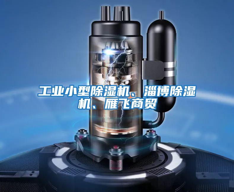 工業(yè)小型除濕機(jī)、淄博除濕機(jī)、雁飛商貿(mào)