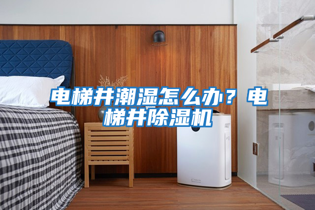 電梯井潮濕怎么辦?電梯井除濕機