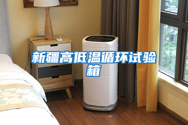 新疆高低溫循環試驗箱