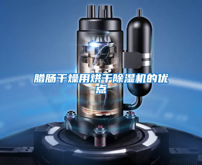 臘腸干燥用烘干除濕機的優點