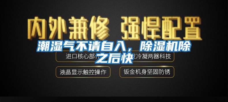 潮濕氣不請自入,除濕機除之后快