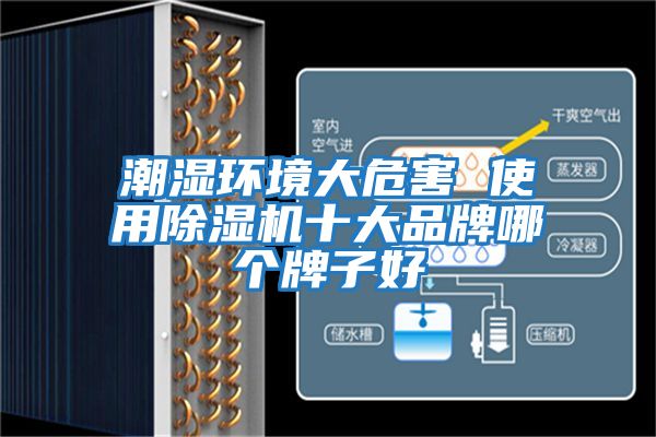 潮濕環境大危害 使用除濕機十大品牌哪個牌子好