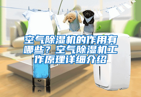 空氣除濕機的作用有哪些?空氣除濕機工作原理詳細介紹