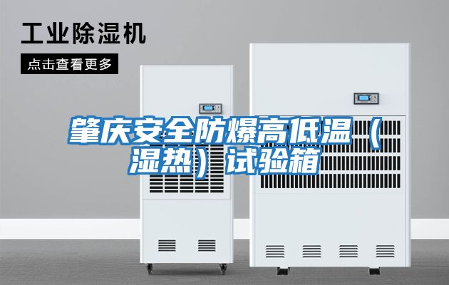 肇慶安全防爆高低溫(濕熱)試驗箱