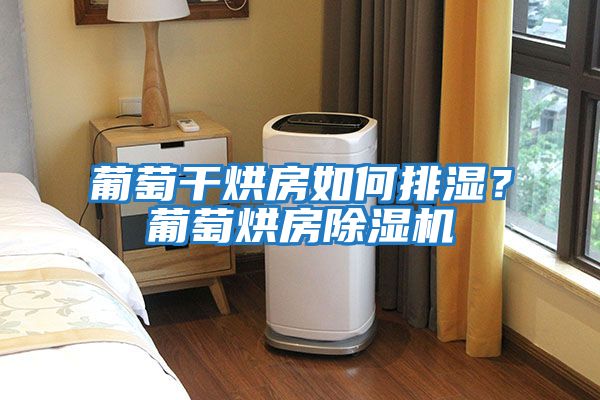 葡萄干烘房如何排濕?葡萄烘房除濕機